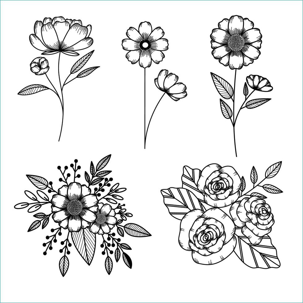 Set of Flower Sketch vector