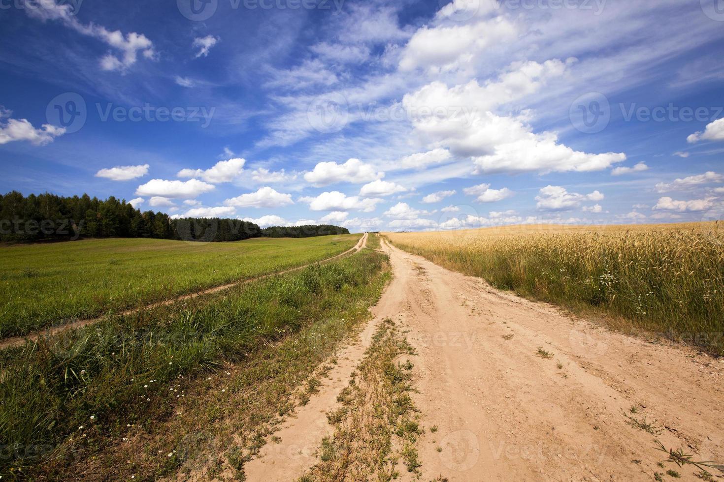 the small road photo