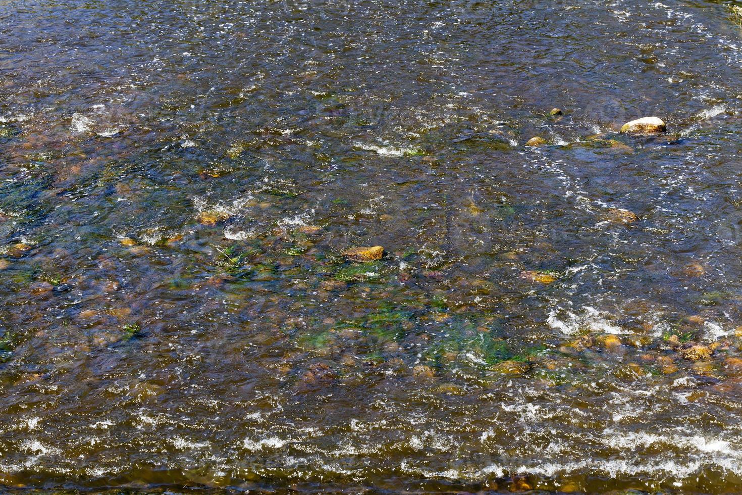 olas en el agua foto