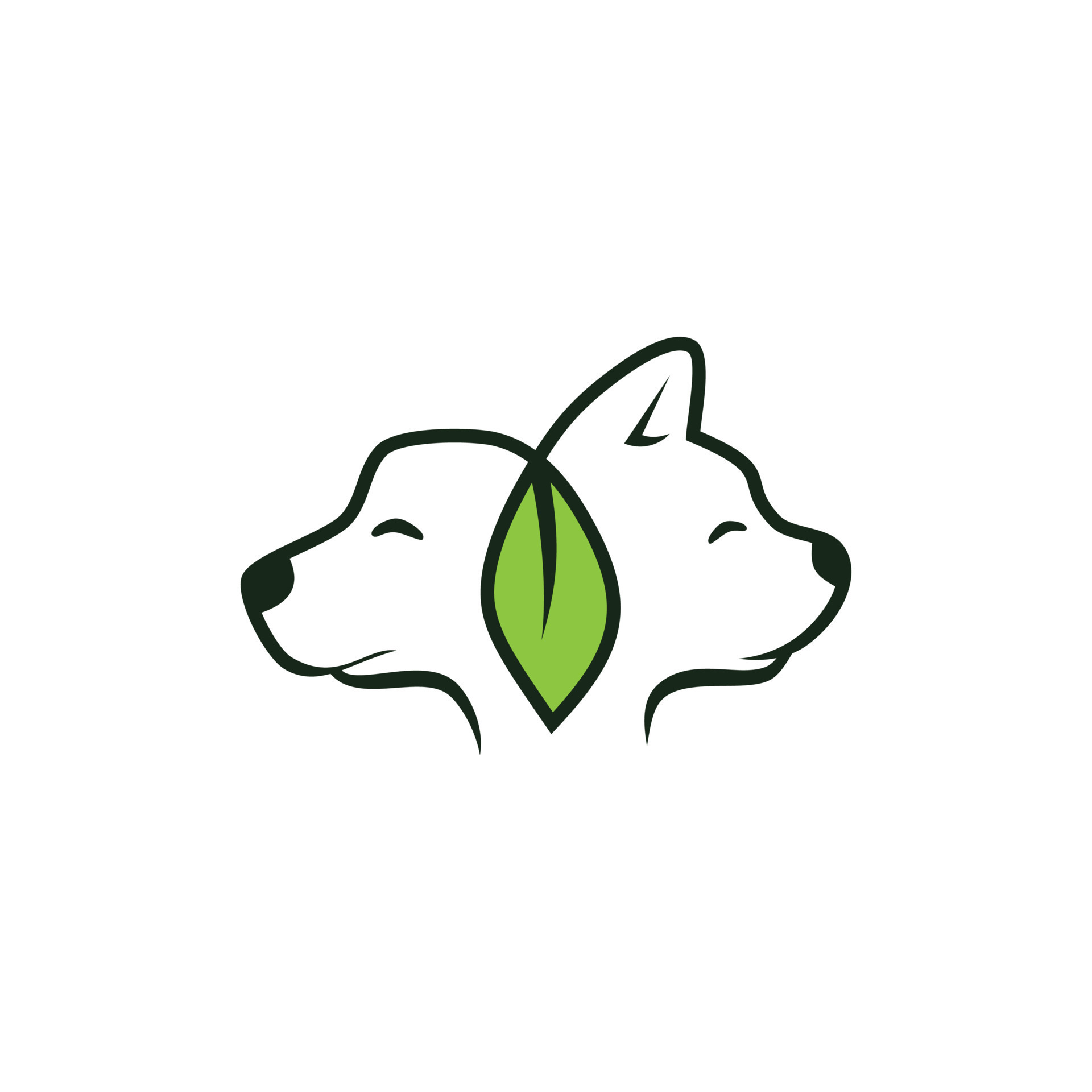 Why Are Cats Mean To Dogs