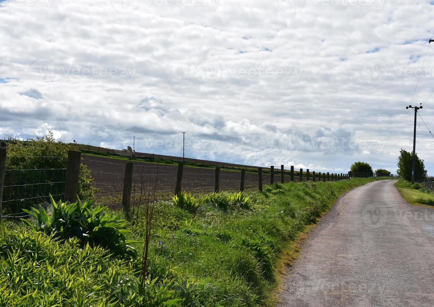 Dirt Country Road Beside a Tilled Field photo