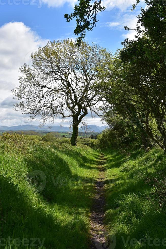 Foot Path that Winds through the Rural Countryside photo