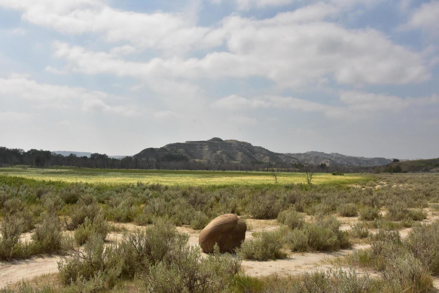 Lone Cannonball Concretion in a Grass Field of the Badlands photo