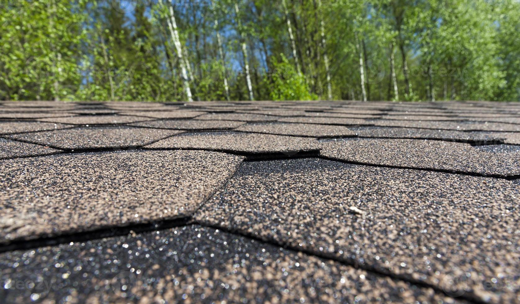 roof of building photo