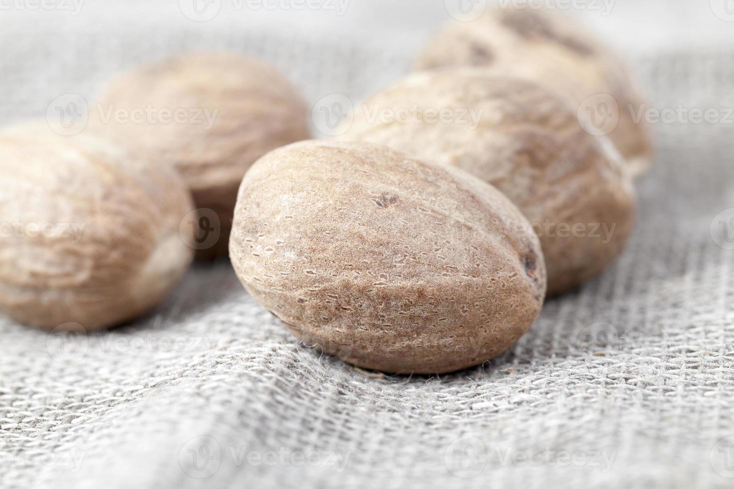 few fragrant nutmeg, photo