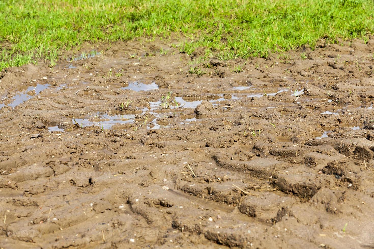 field soil, close up photo