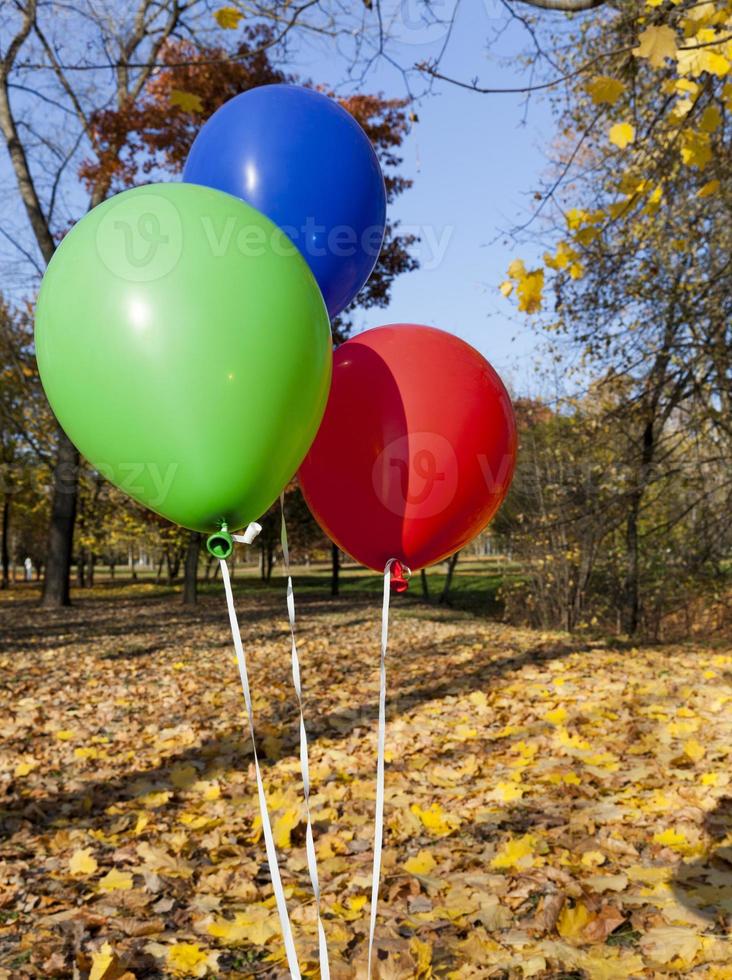 Red green and blue balloons photo