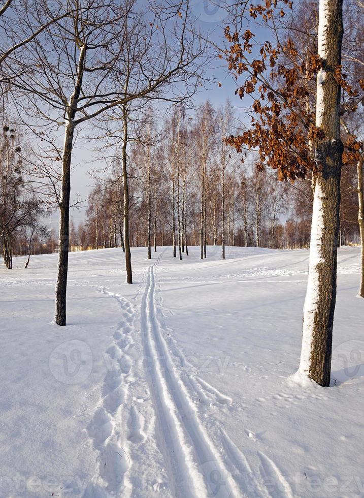 el camino de invierno foto