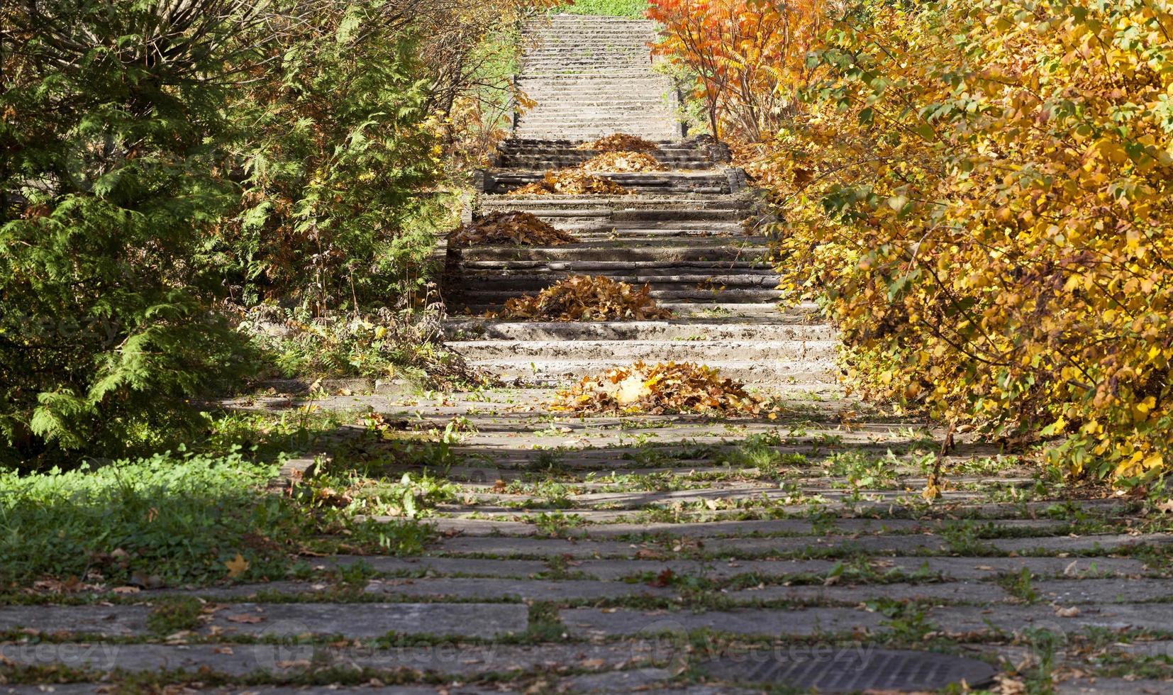 walking road, close up photo