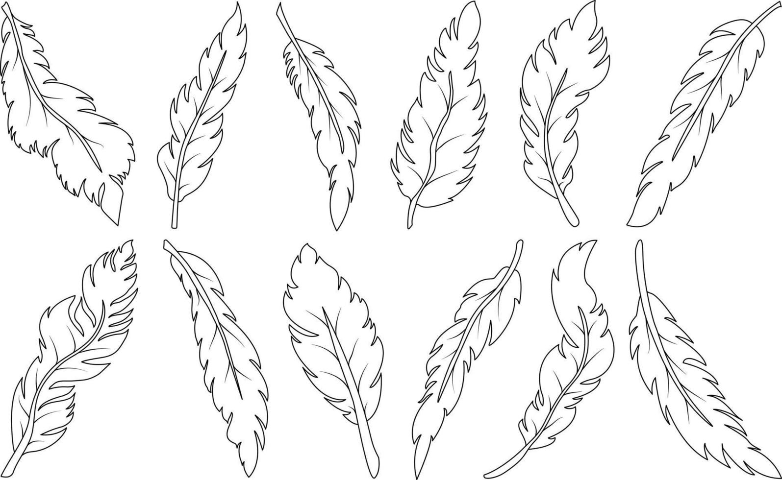 Set of various hand drawn feathers, abstract feather shape for design vector