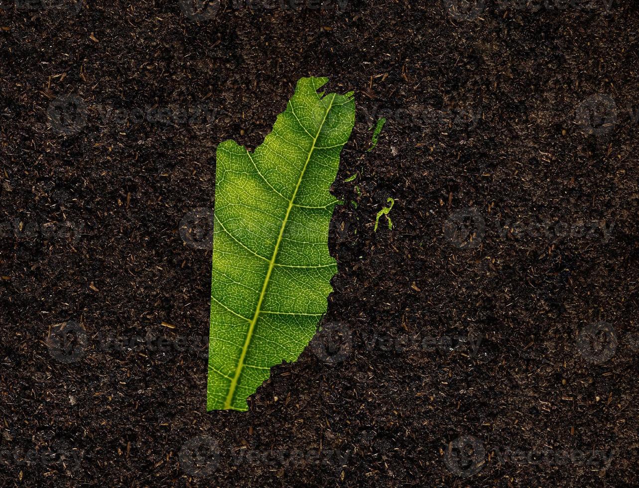 Belize map made of green leaves, concept ecology Map green leaf on soil background photo