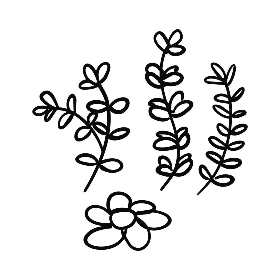 set of floral elements, Hand drawn illustration of tree branches and flowers vector