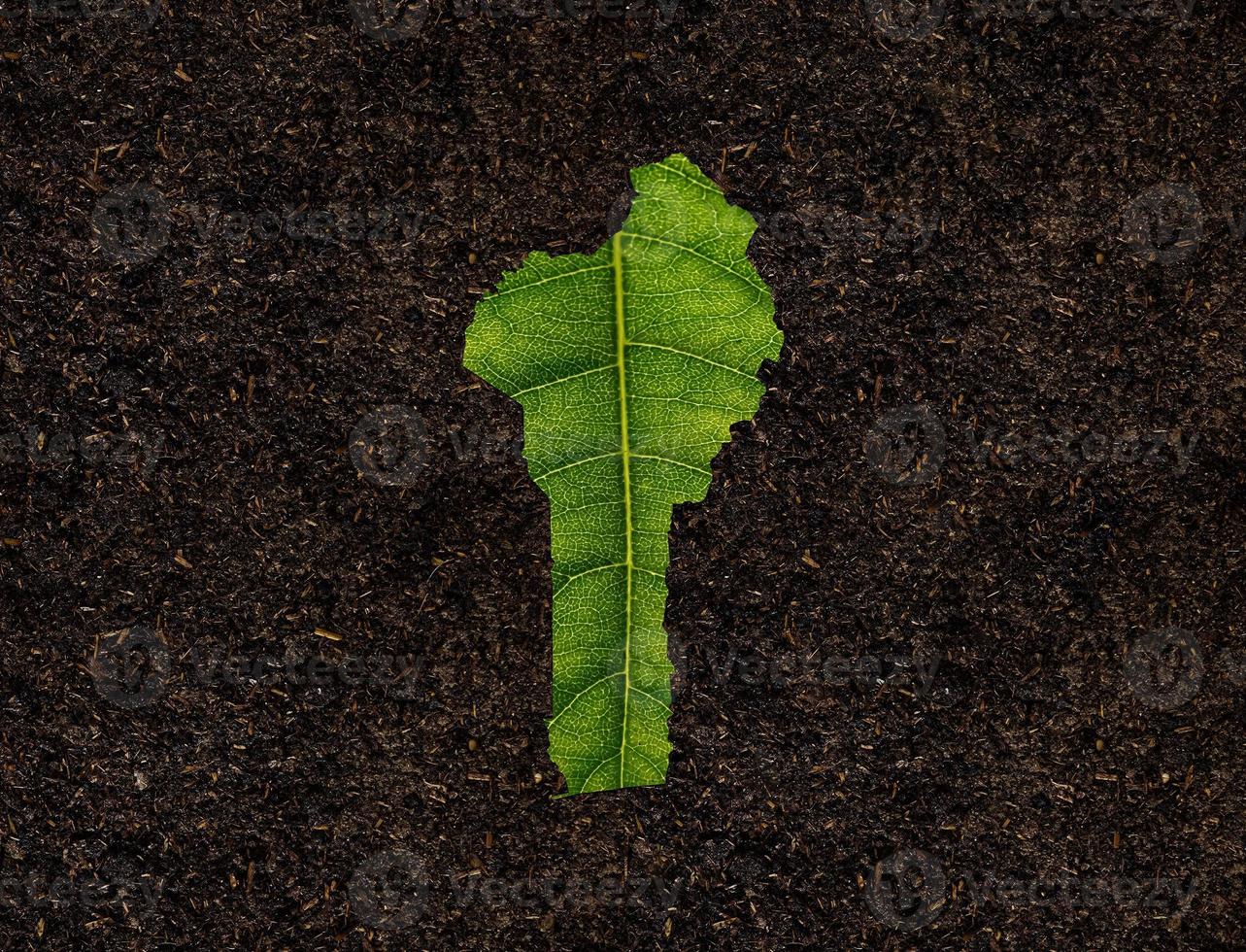 Benin map made of green leaves, concept ecology Map green leaf on soil background photo
