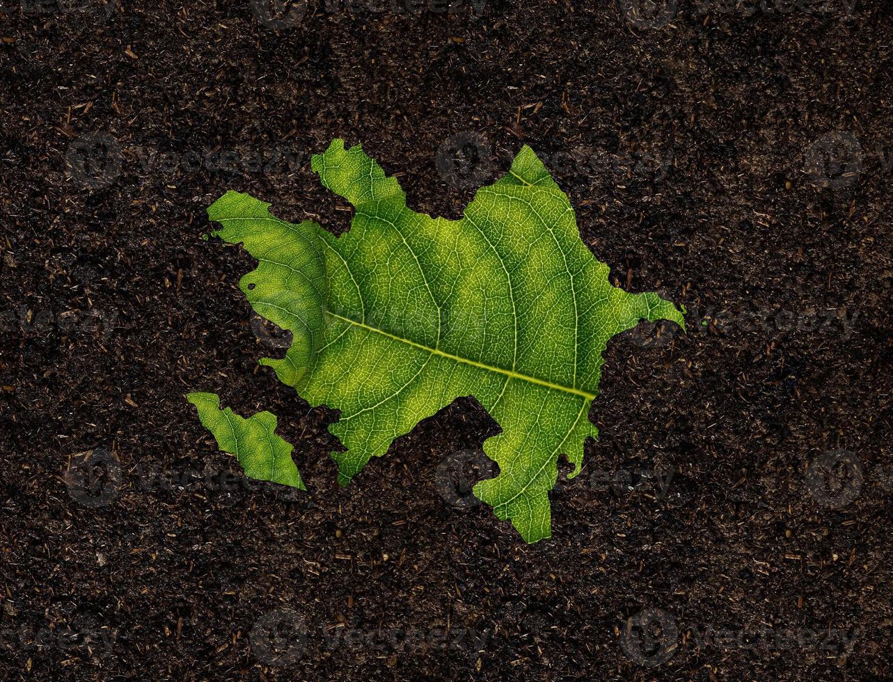 Azerbaijan map made of green leaves, concept ecology Map green leaf on soil background photo