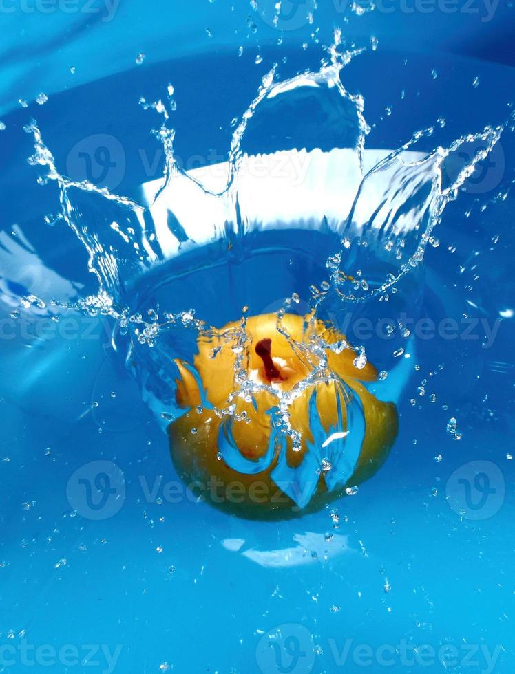 Plum water splash photo