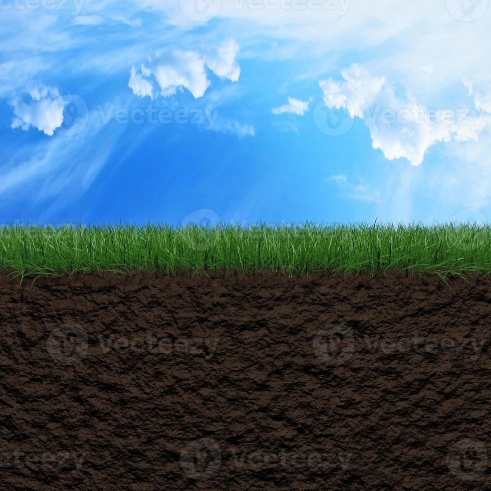 Grass, soil and sky background photo