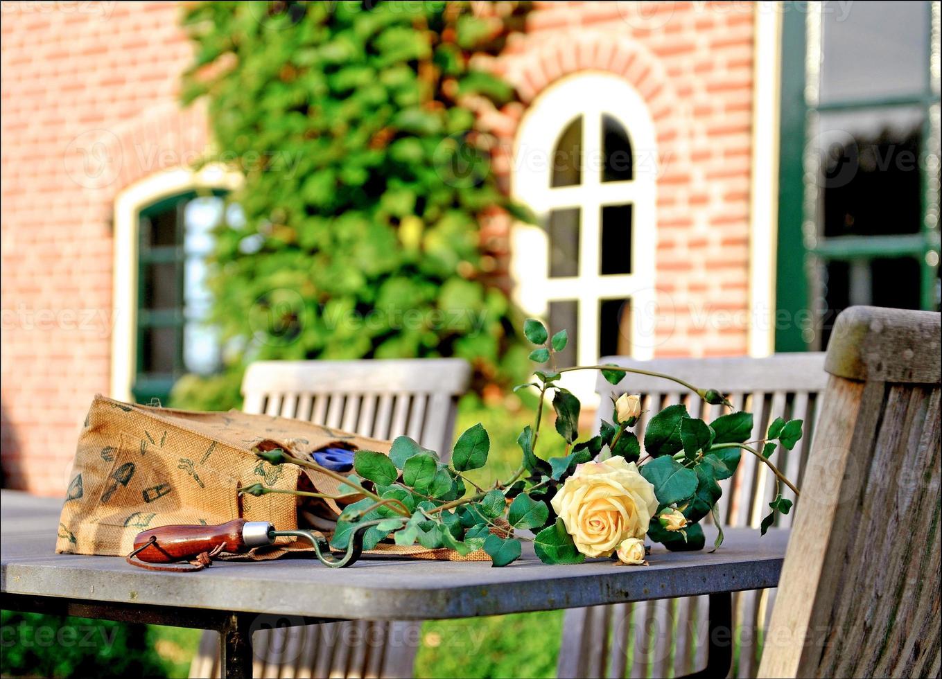 Spring table composition photo