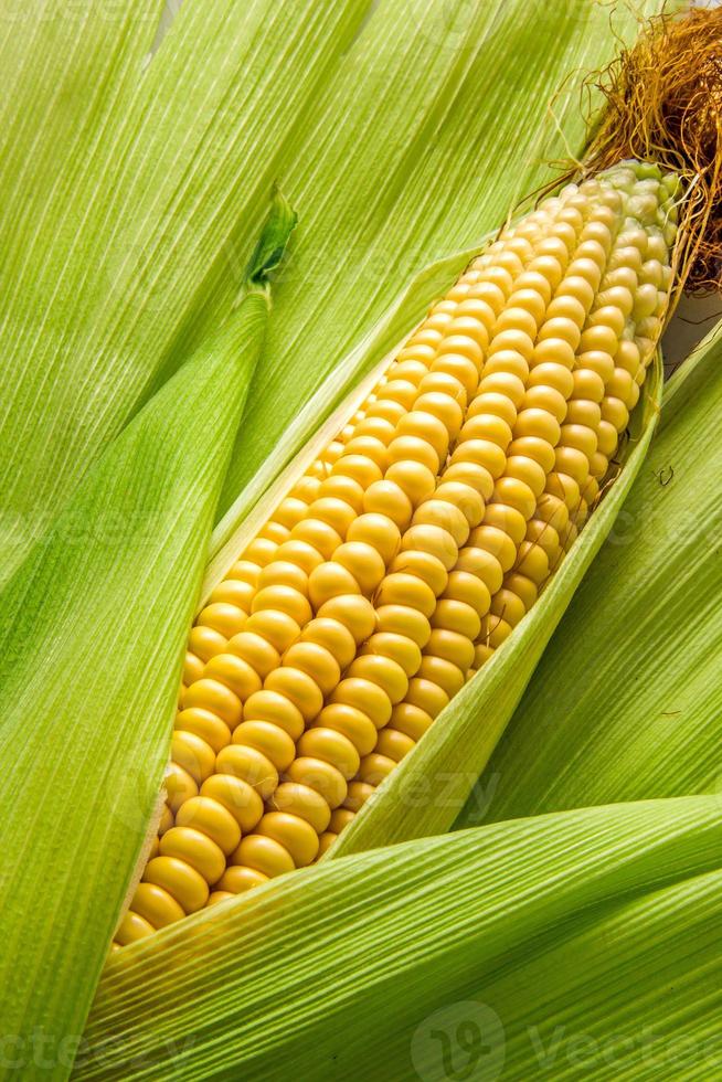 Cob between leaves photo