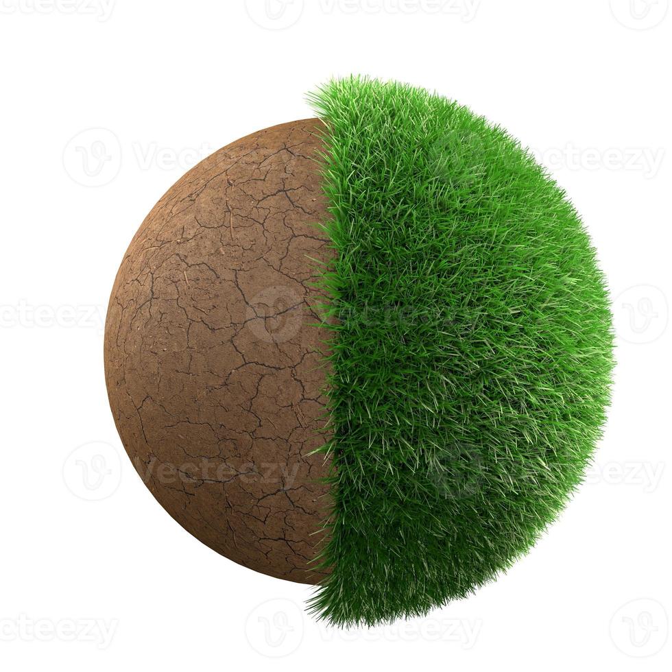 Grass and dirt photo