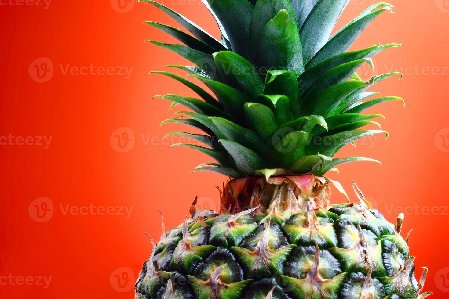 Colorful and delicious photo