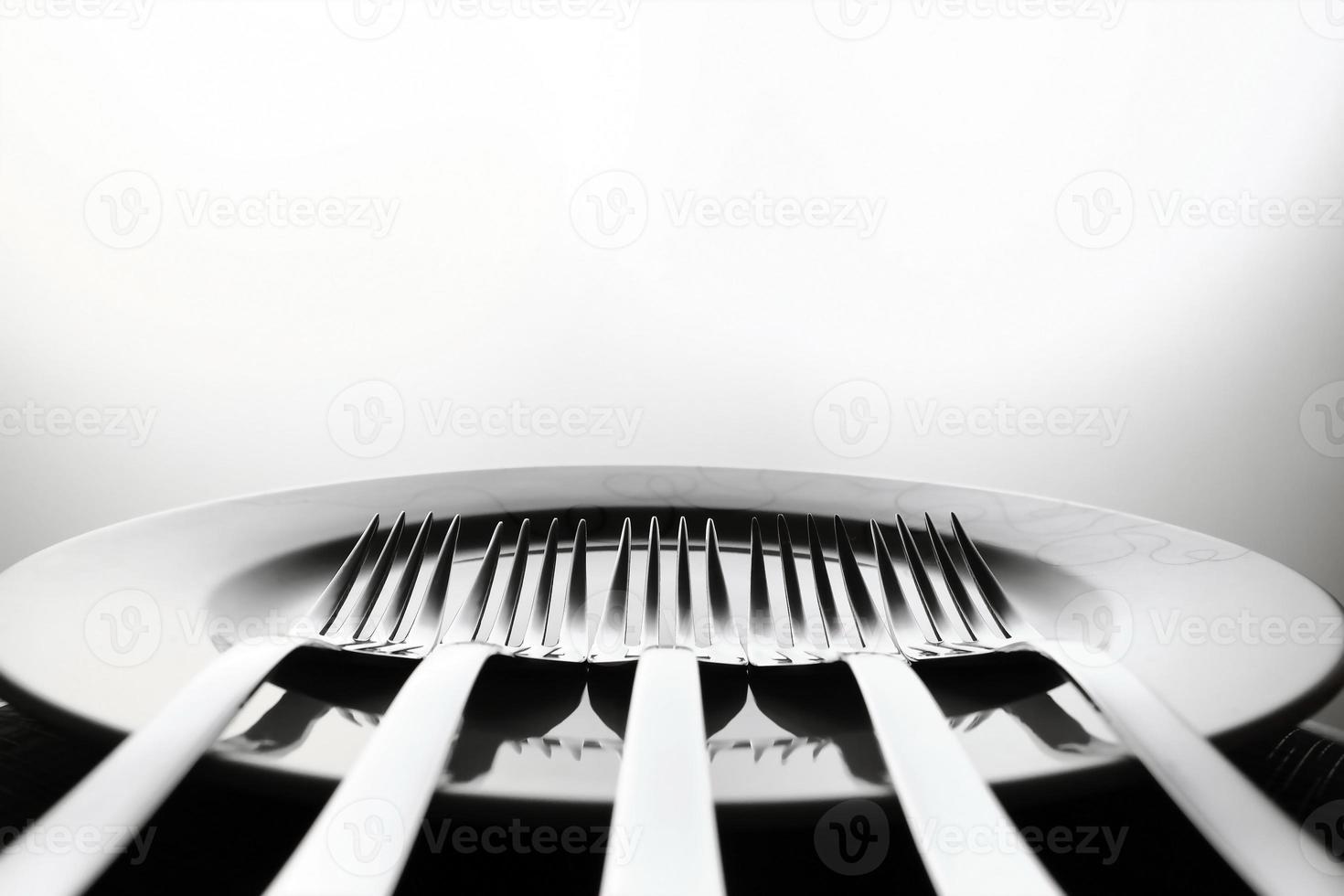 Dish and forks photo