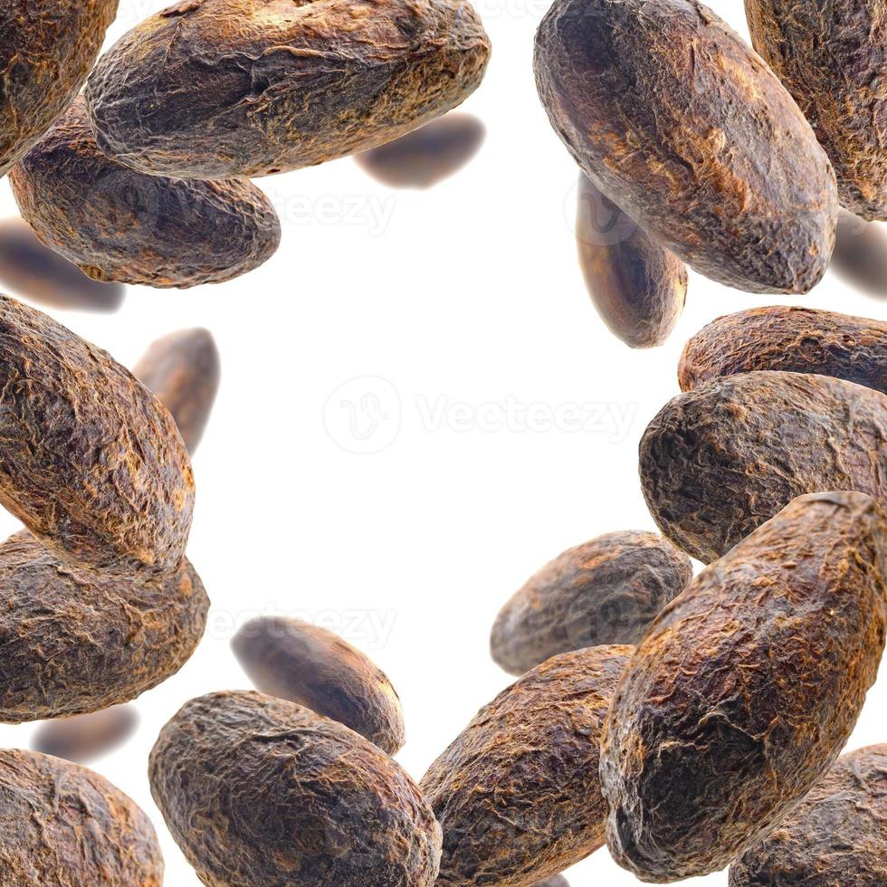 Cocoa beans levitate on a white background photo
