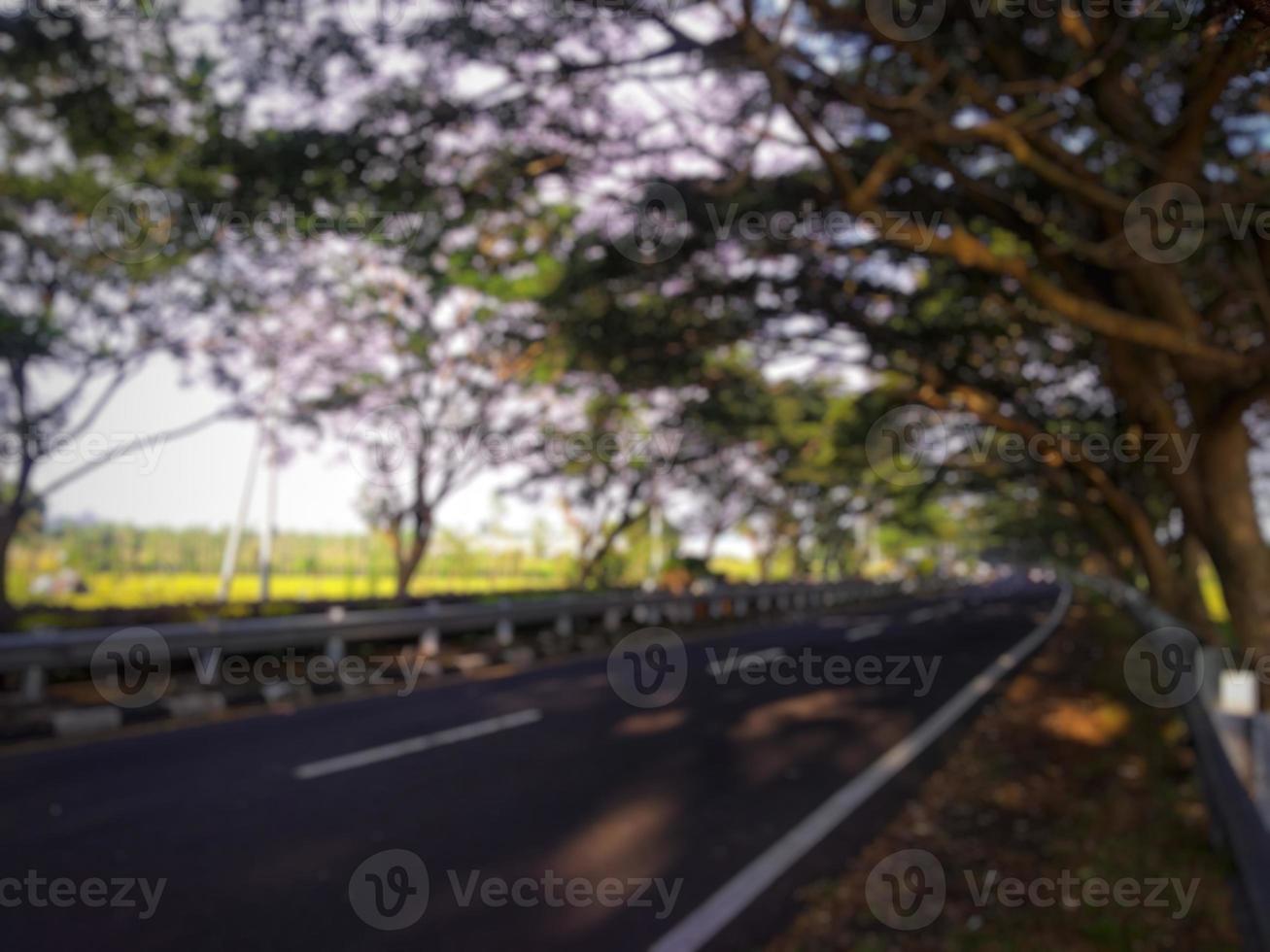 Defocused abstract background of Highway lanes and median with ornamental plant growth and flower shining in morning sun photo