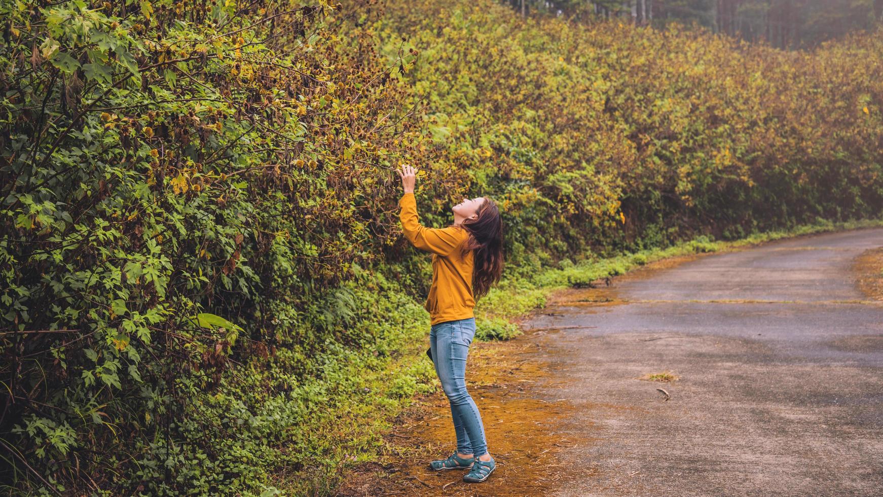 naturaleza turística asiática, relajándose disfrutando de la fresca belleza de la flor. ella sonrió y cogió a mano una flor amarilla de bua tong. foto