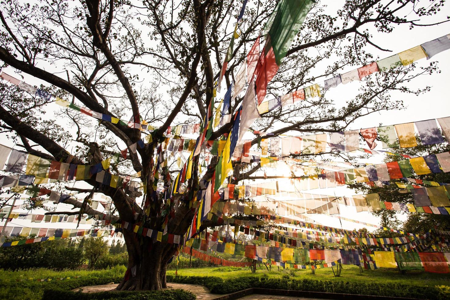 Buddhist praying flags in Lumbibi, Nepal photo