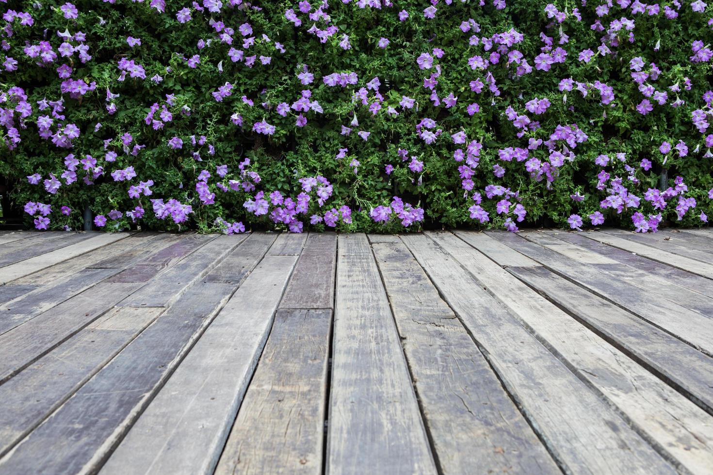 wooden fence with flowers photo