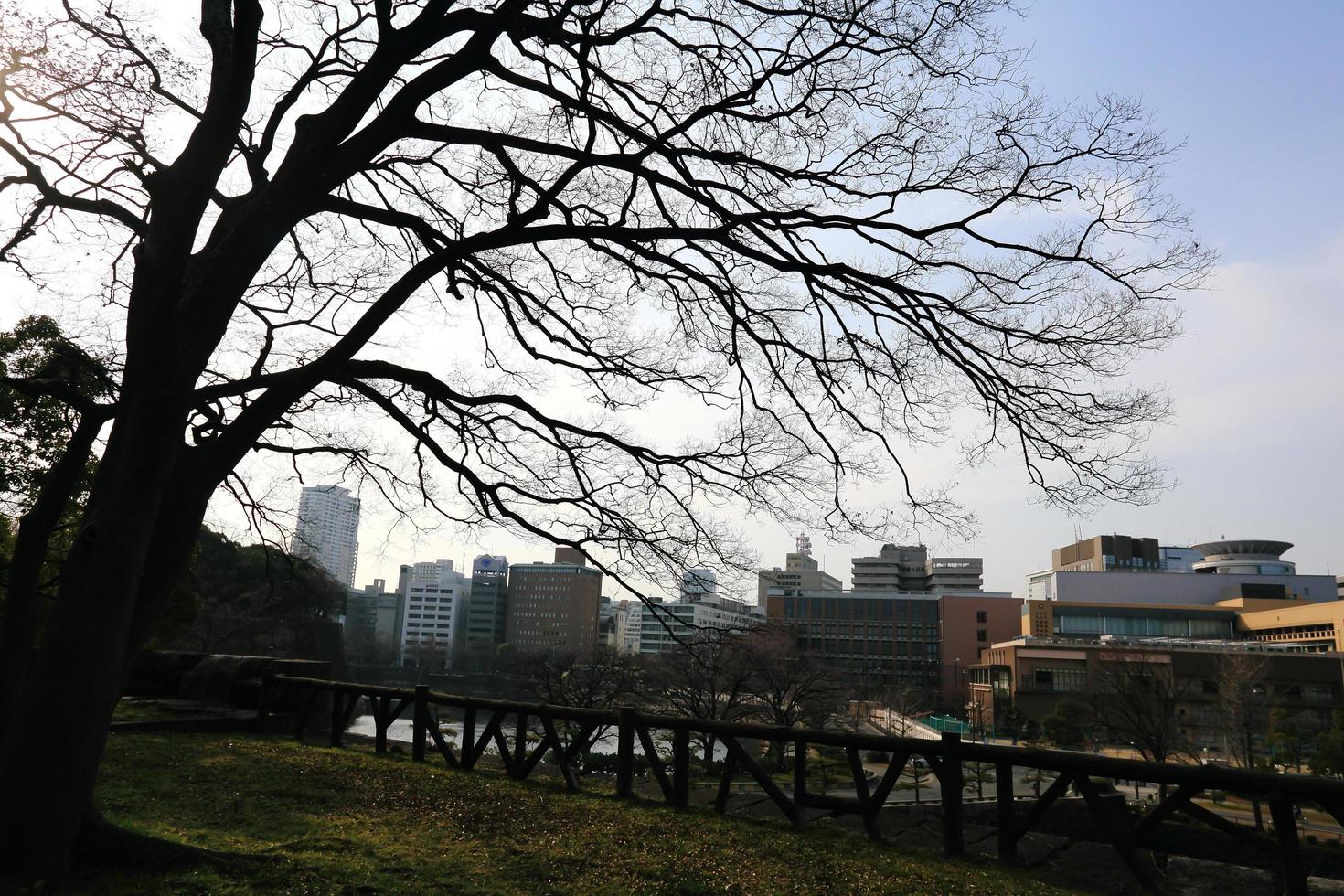 a wide view of osaka city photo