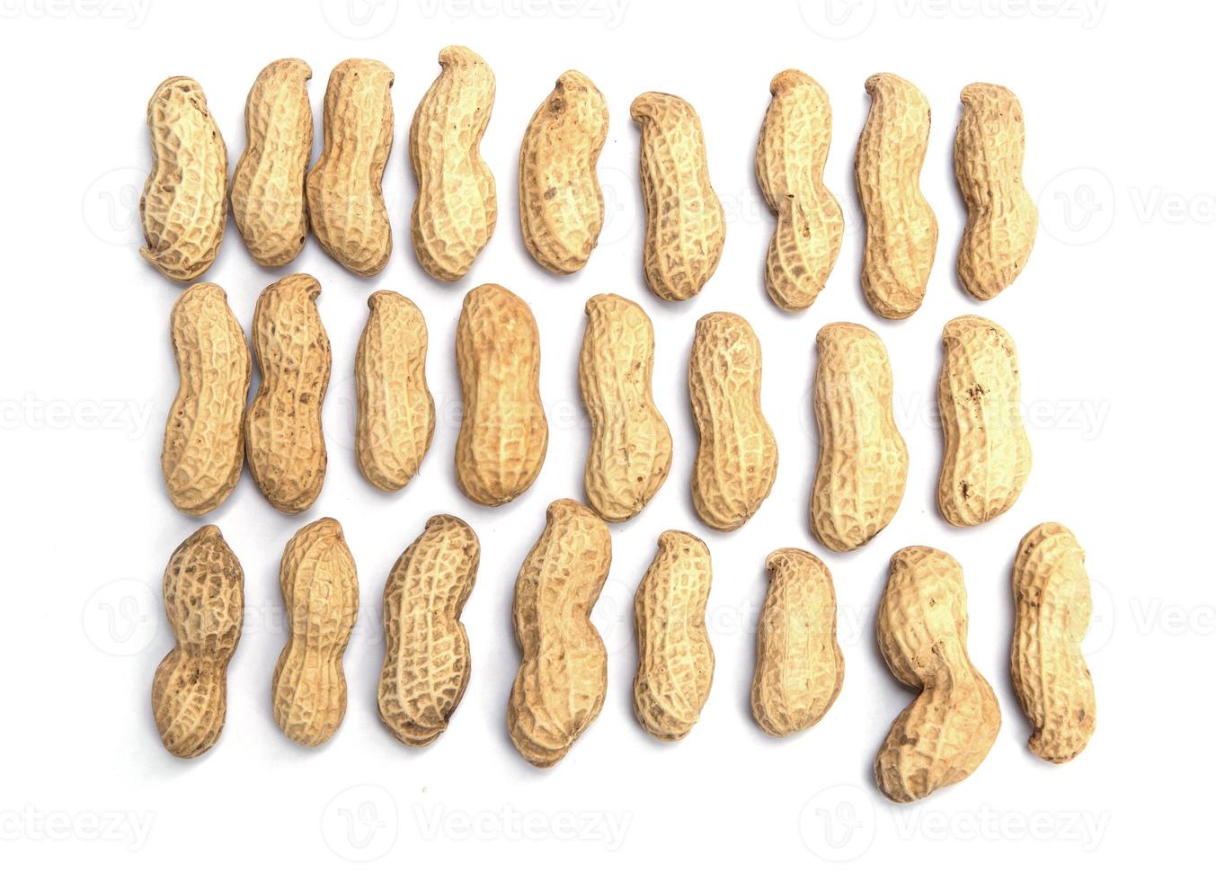 Dried peanuts in closeup on the white background photo