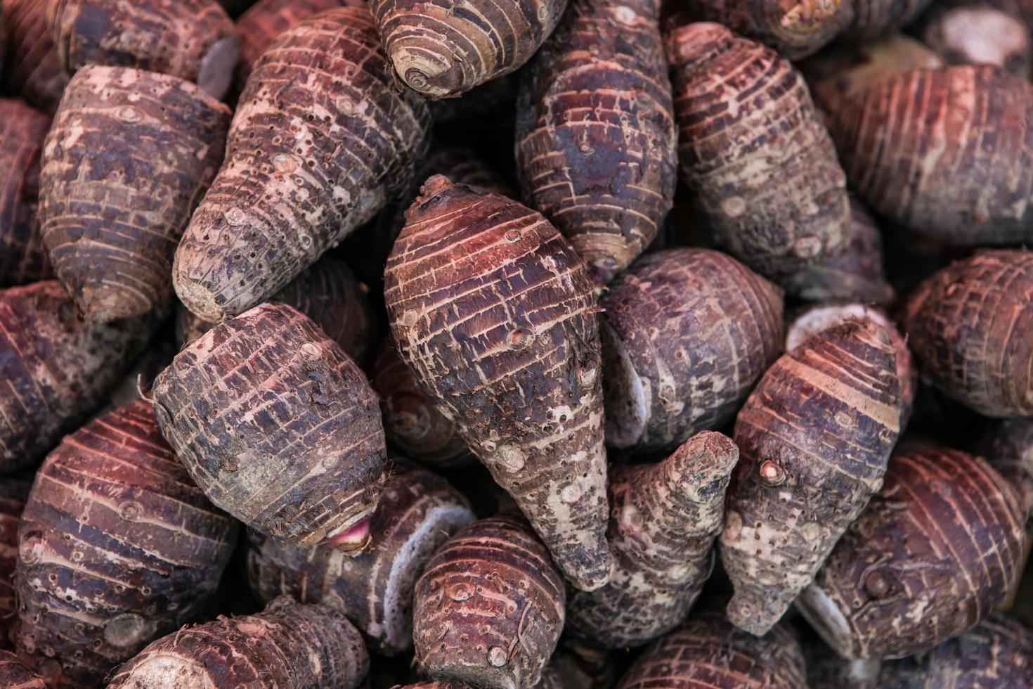 pile of taro for retail sale in local market. background of fresh taro. photo