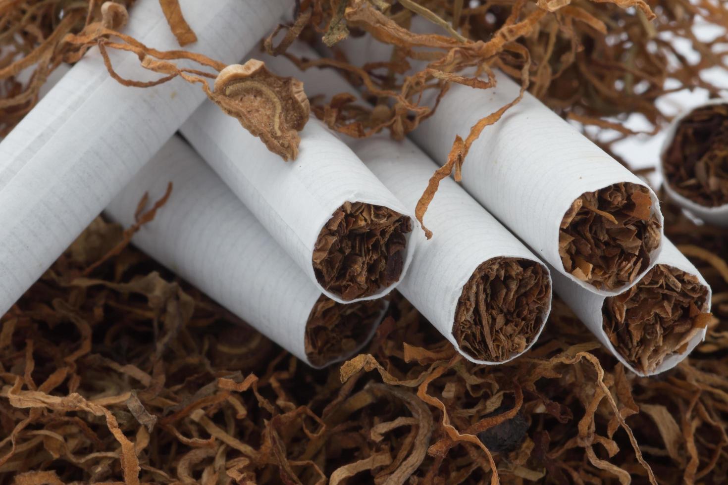 Tobacco pile and cigarettes photo