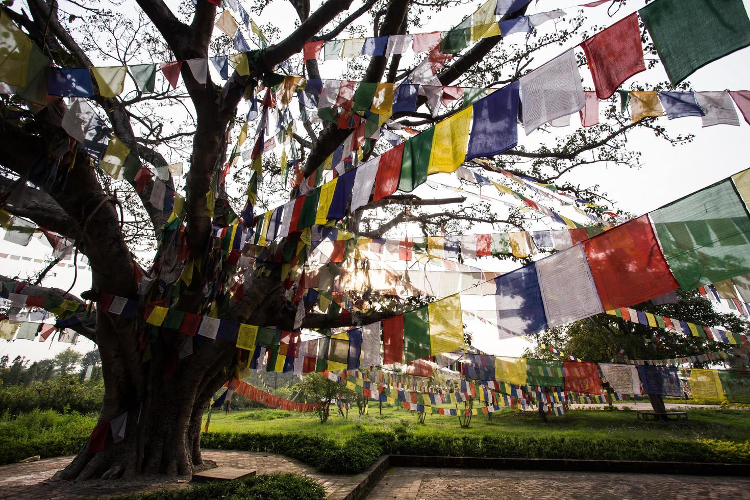 Buddhist praying flags in Lumbibi, Nepal photo