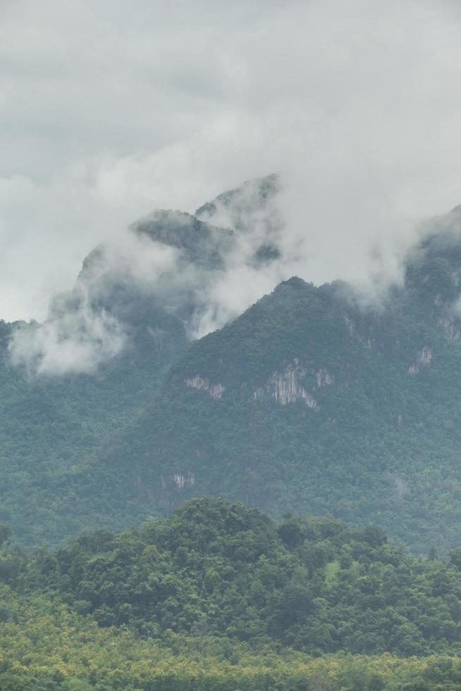 beautiful mountain scenery ,forest and misty photo