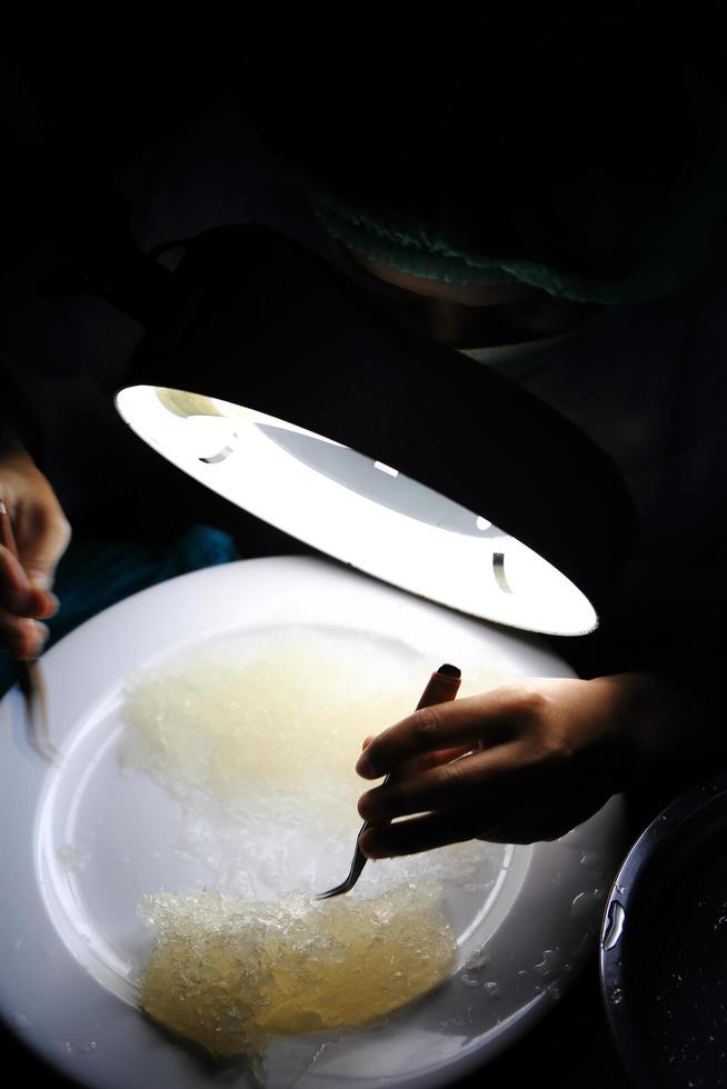 Edible bird's nest Process photo