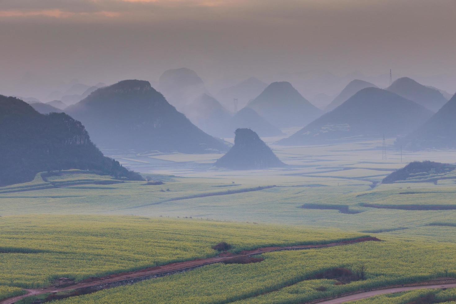 Yellow rapeseed flower field with the mist in Luoping, China photo
