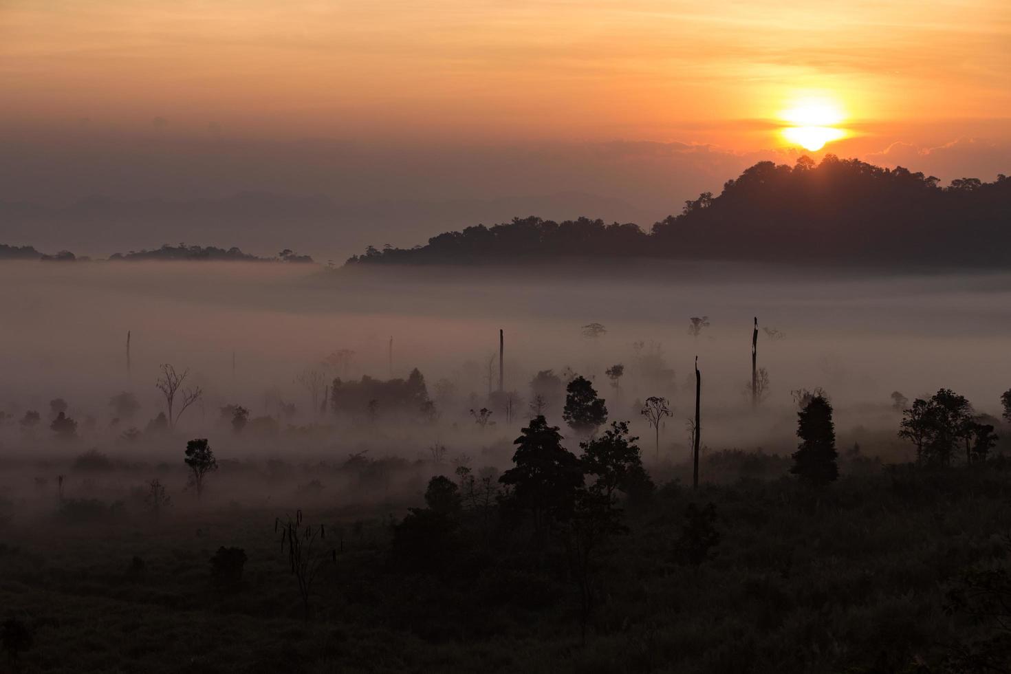 Fog mountain in the early morning sunrise photo