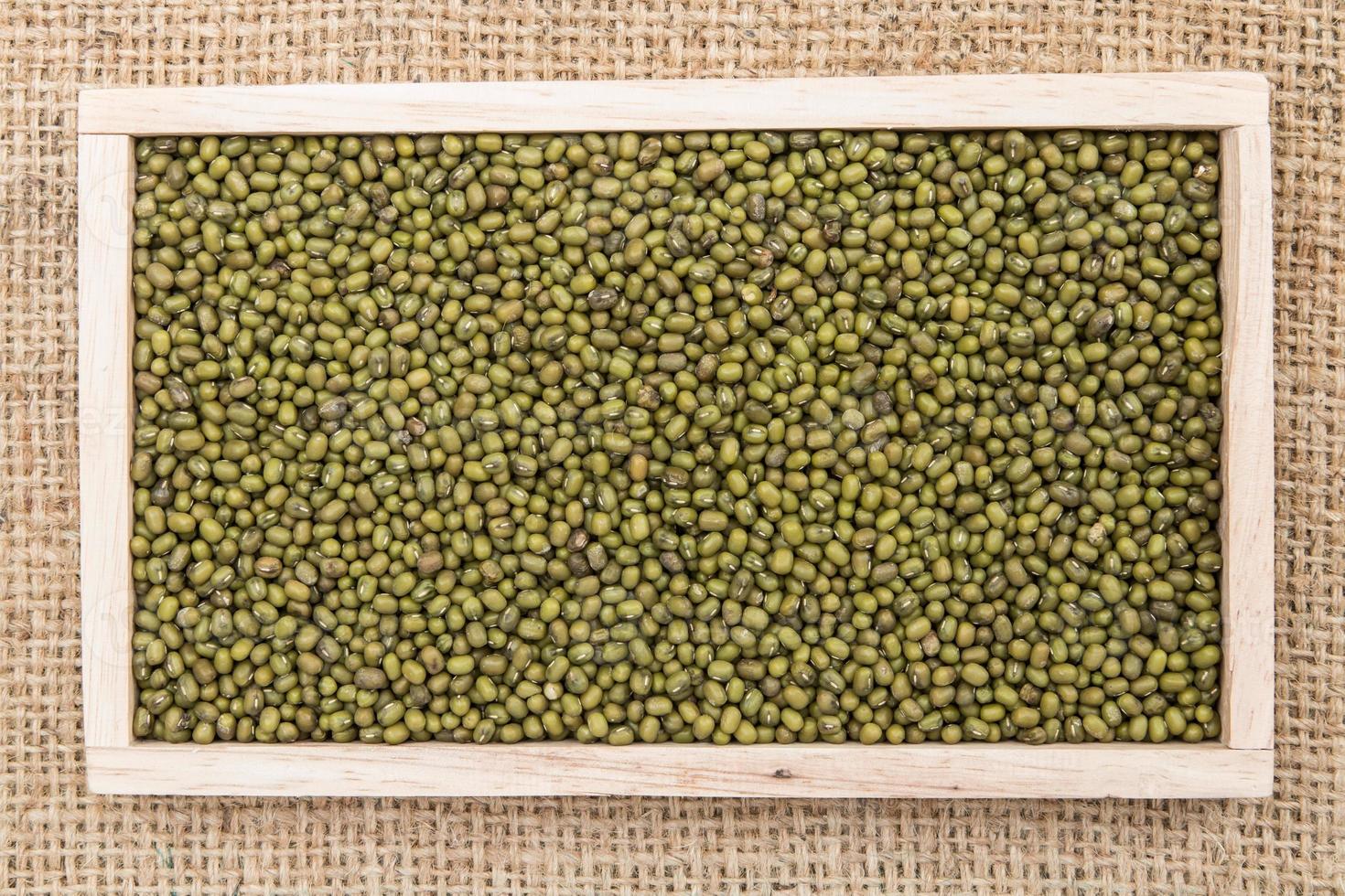green mung beans background photo