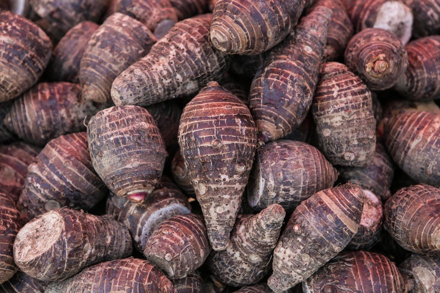 pile of taro for retail sale in local market. background of fresh taro. photo
