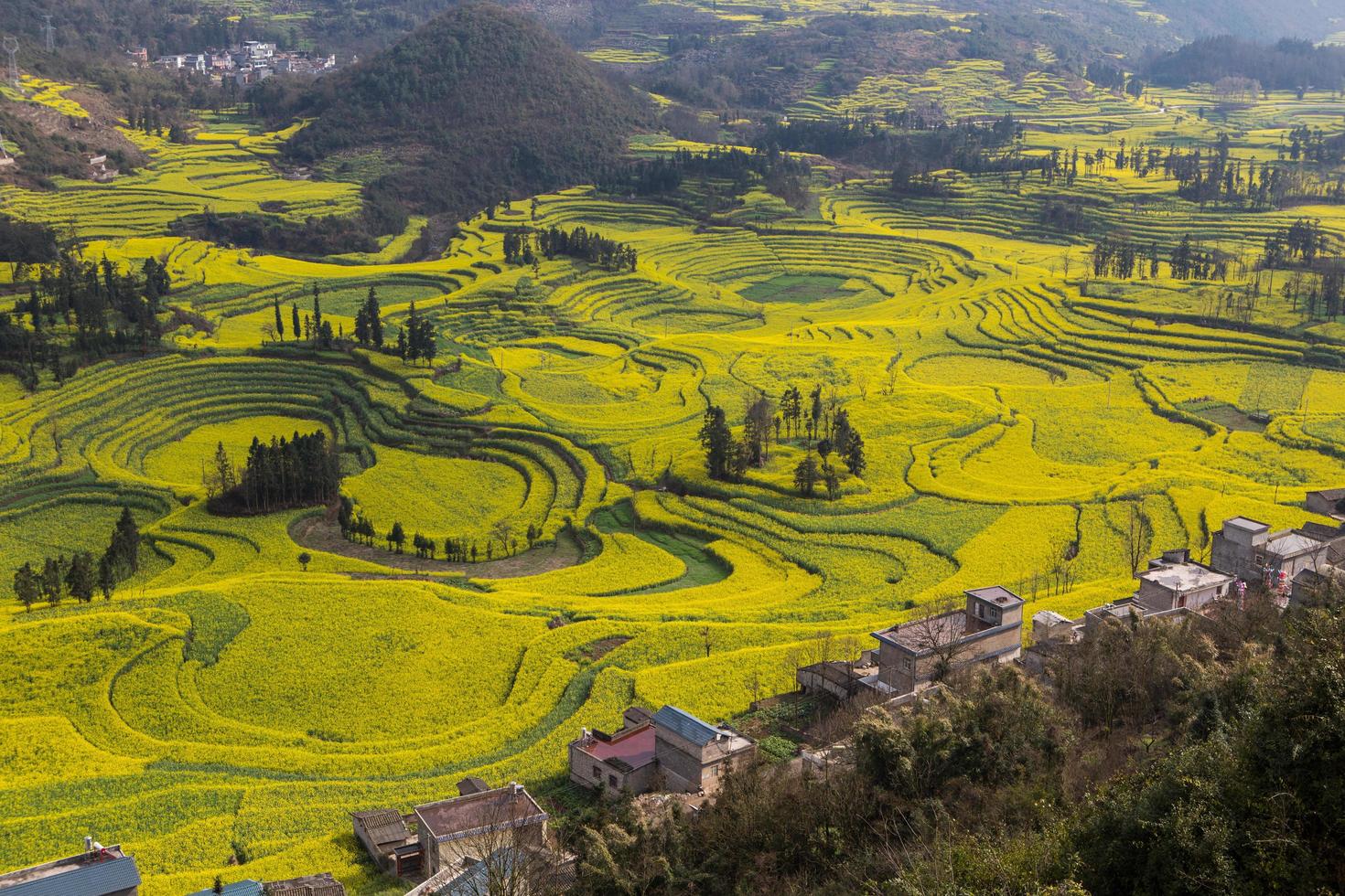 Spring fresh landscape of colorful fields, sunrise sky and beautiful hills valley photo