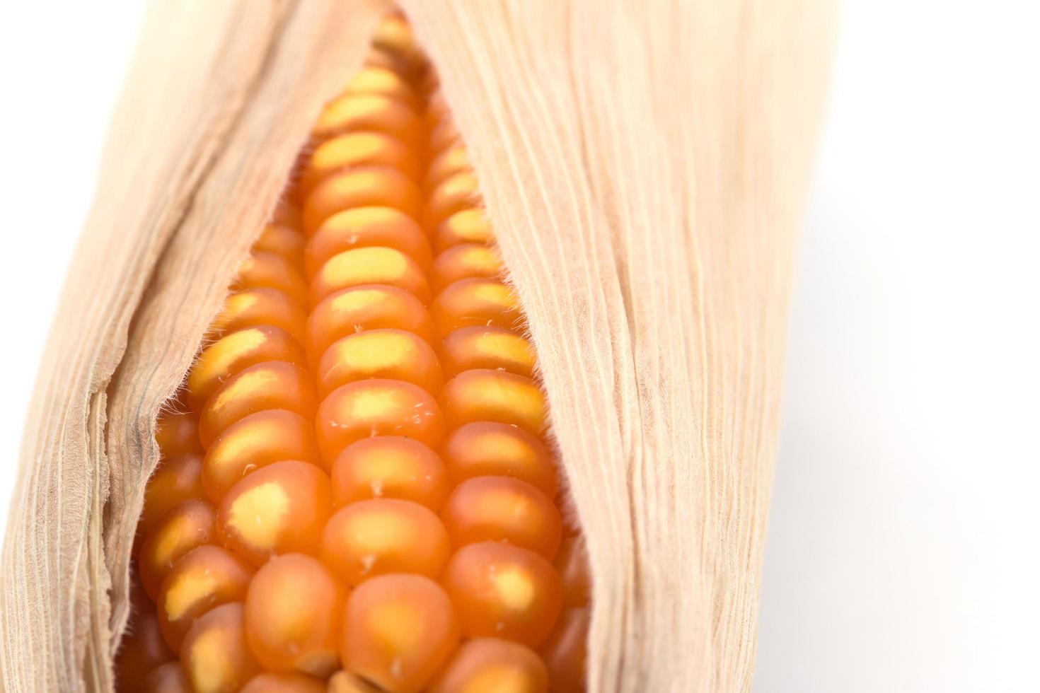 close up of the corn photo