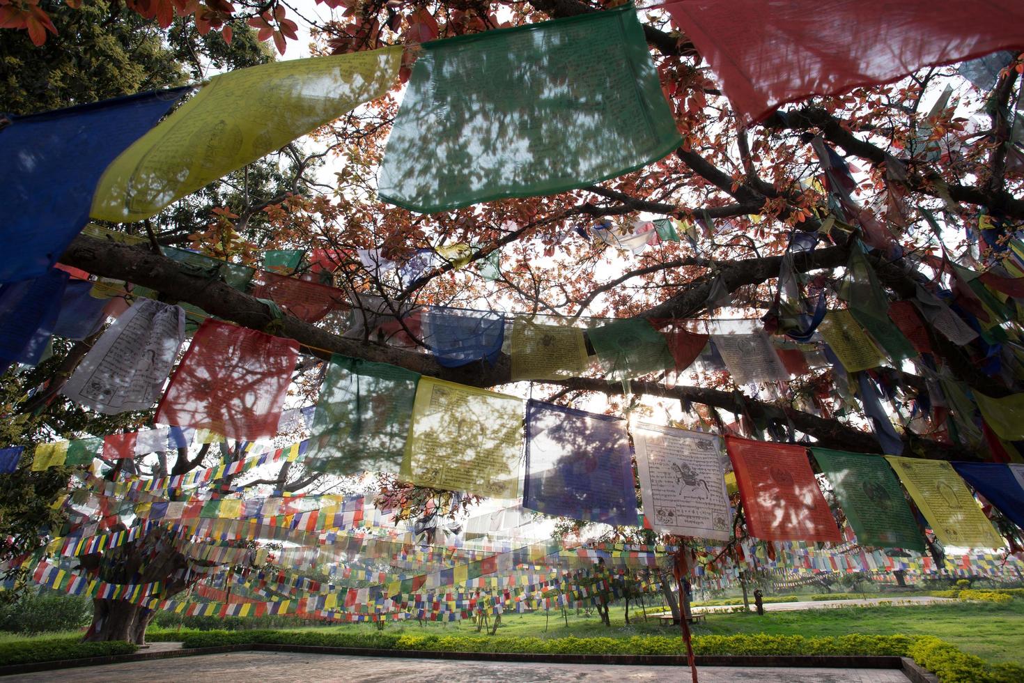 Buddhist praying flags in Lumbibi, Nepal photo