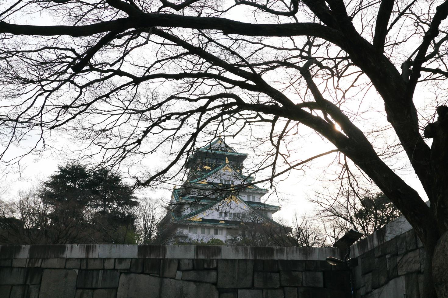 Osaka Castle in Osaka, Japan photo