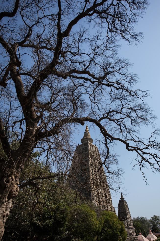 Mahabodhi temple, bodh gaya, India photo