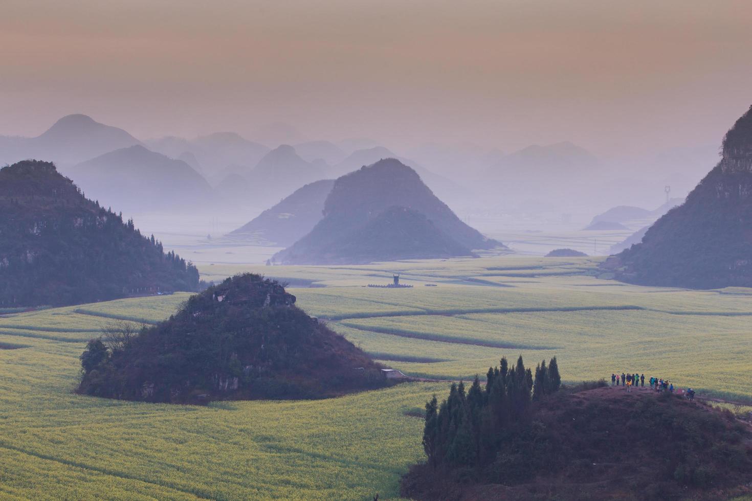 campo de flores de colza amarilla con la niebla en luoping, china foto