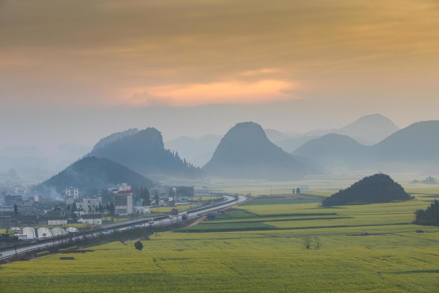 Yellow rapeseed flower field with the mist in Luoping, China photo
