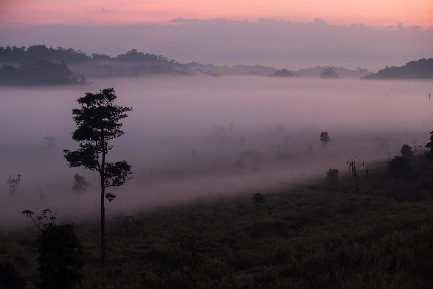 Fog mountain in the early morning sunrise photo