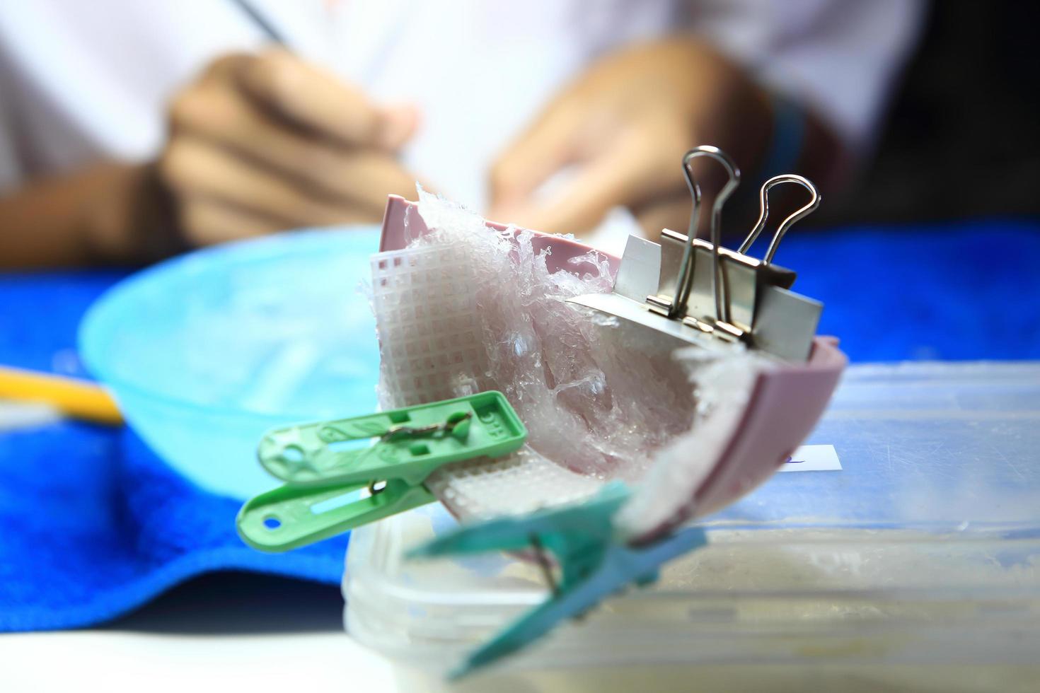 Edible bird's nest Process 9566248 Stock Photo at Vecteezy